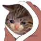 sobb