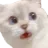 scaredycat scaredycat