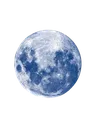 9176bluemoon