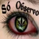 so_observo