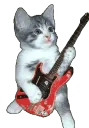 gato_manero