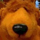 BigBear_Sniff BigBear_Sniff