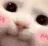 edu_cute