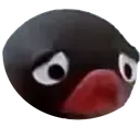 pingusad