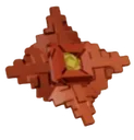 rafflesia