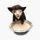 kac_K Discord emoji