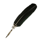 :Quill: