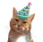 :NalaFiesta: NalaFiesta