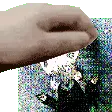 PETstatic