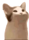 PopCat