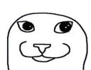 soycat