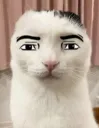 bro