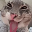 silly