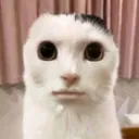 emoji_1