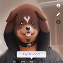 sidawg Discord emoji
