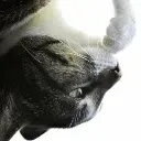 thinker_br