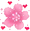 scpinkcherryblossom