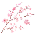sccherryblossombranch