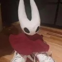 hornet