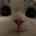 emoji_11 emoji_11