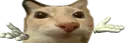idkcuh idkcuh