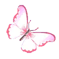 8838butterflypink