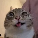 goofygato