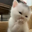 abh_hehe