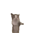 catjumphug