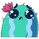 cryingcactus