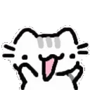 sccatclap