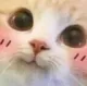 C_Aww