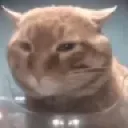 snackstare
