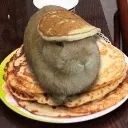 pancake_bun