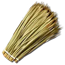 Thatch