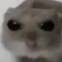 chingatumadre