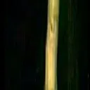dedo2