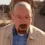 walt