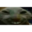 xdd