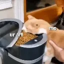 urartme