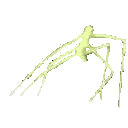 StickBugVibe