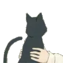 catsplash catsplash