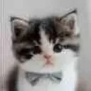 franklin