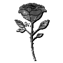 grey_flower