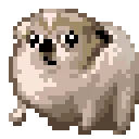 rolydog