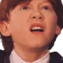 _hp_ronconfused