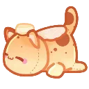 buttercat