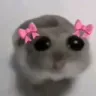 3hamstisad 3hamstisad