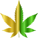 BudBeyondNewLogo