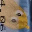 __